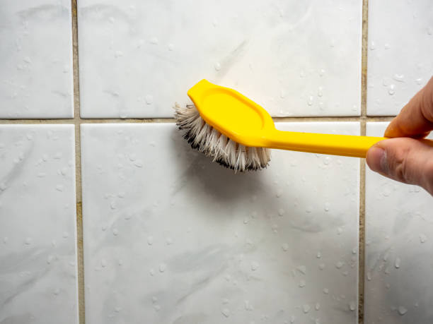 Best Preventive Mold Services in Pittsburg, CA